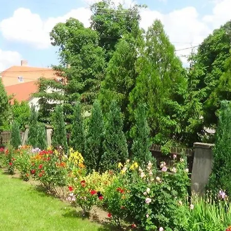 Bed & Breakfast Rozsakert Romhany