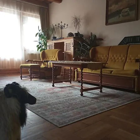 Bed & Breakfast Rozsakert Romhany