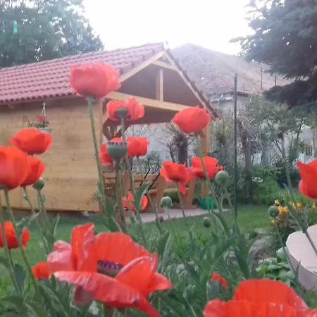 Bed & Breakfast Rozsakert